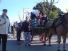 Sant Antoni 2005