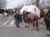 Sant Antoni 2007