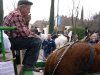Sant Antoni 2007